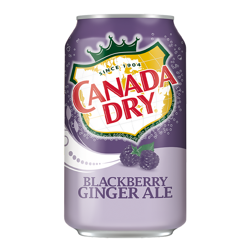 Front of Canada Dry Blackberry Ginger Ale can featuring a purple design, logo, and images of blackberries (355ml pack)